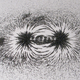 A magnetic field visualized with iron filings. This image has little to do with the experiment described in the article, except that they both require intense magnetic fields.